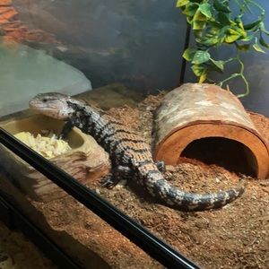 Meet your Posher, Alexander